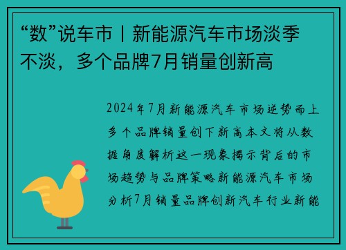 “数”说车市丨新能源汽车市场淡季不淡，多个品牌7月销量创新高